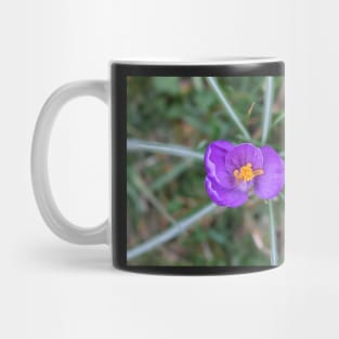 Purple and Orange Flower 1 Mug